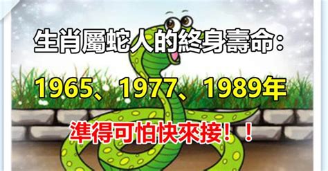 1977 屬蛇|關於1977年「生肖屬蛇人」，這一生命運如何？